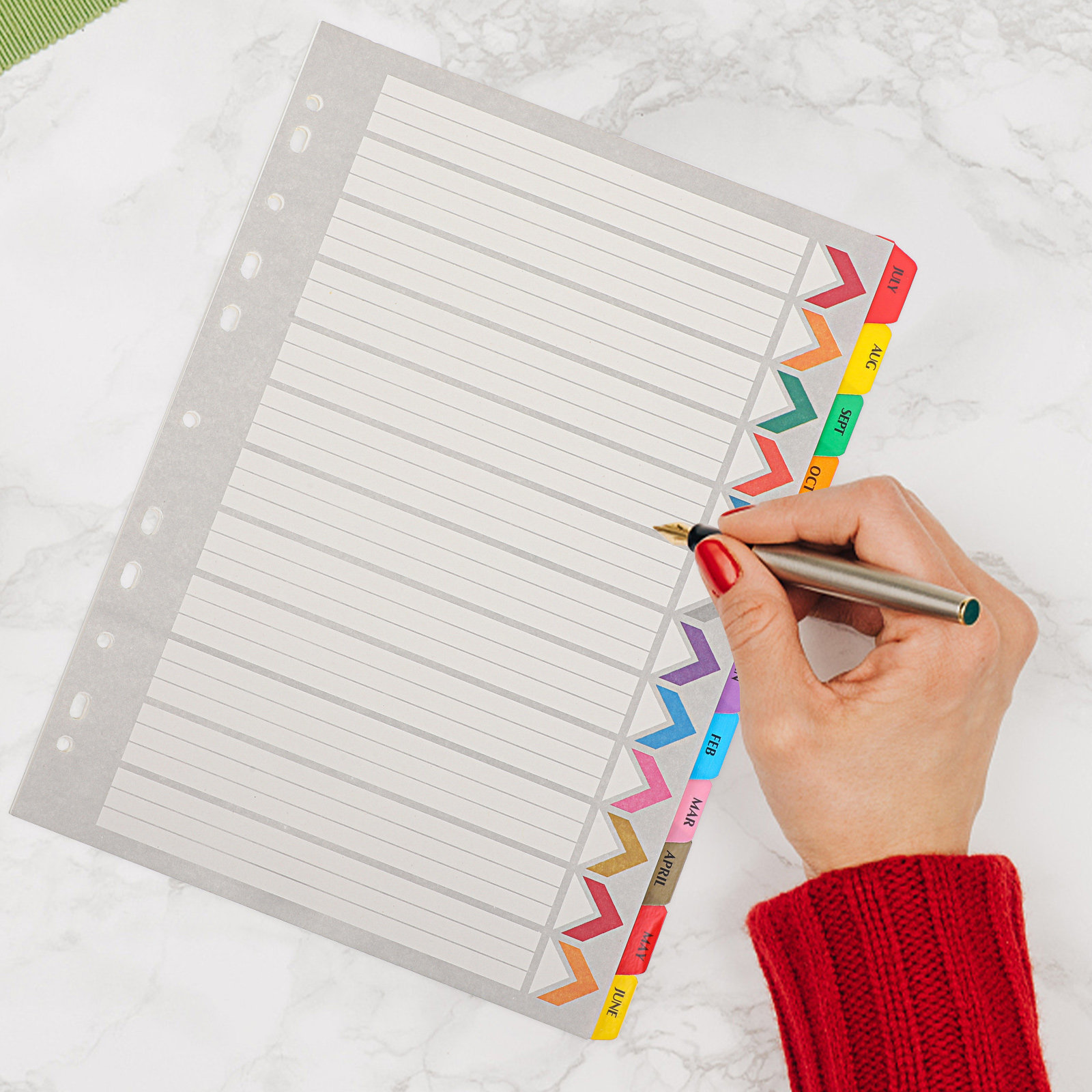 12 Sheets A4 Binder Dividers w - Tab Divider A4 리뷰 및 가격